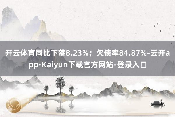 开云体育同比下落8.23%；欠债率84.87%-云开app·Kaiyun下载官方网站-登录入口