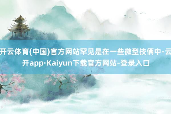 开云体育(中国)官方网站罕见是在一些微型技俩中-云开app·Kaiyun下载官方网站-登录入口